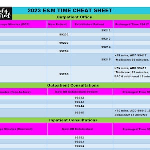 2023 E&M Time-based Coding Cheat Sheet in Bubblegum - Etsy