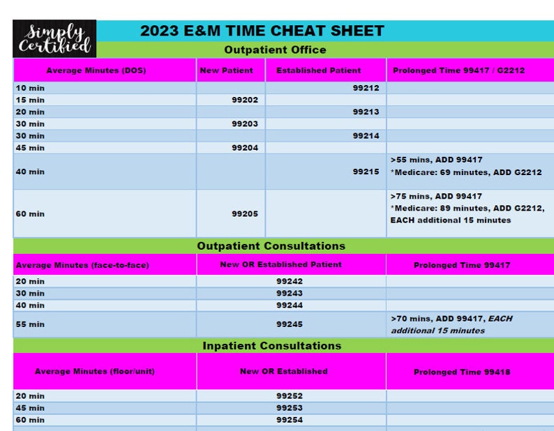 2023 E&M Time-based Coding Cheat Sheet in Bubblegum - Etsy