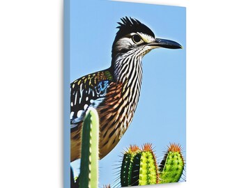 Desert Roadrunner Canvas Print | Southwest Home Decor