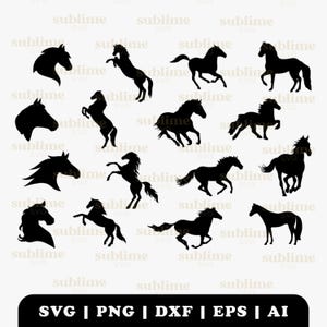 Horse SVG Bundle | Cutting files for Cricut, Silhouette | svg, png, jpg, eps, ai, pdf | Commercial use vector graphics | INSTANT DOWNLOAD