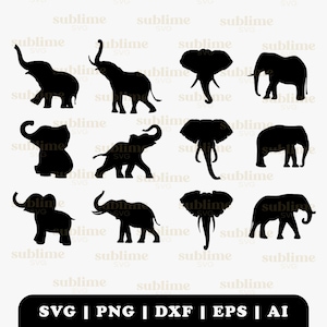 Elephant SVG Bundle | Cutting files for Cricut, Silhouette | svg, png, jpg, eps, ai, pdf | Commercial use vector graphics