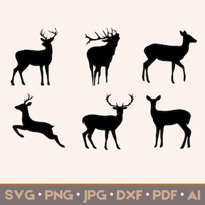6 herten silhouet SVG | Bestanden knippen voor Cricut, Silhouette | Svg, png, jpg, eps, ai, pdf | Vectorafbeeldingen voor commercieel gebruik | DIRECT DOWNLOADEN