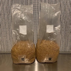 3.5lb White Millet Grain Spawn Bag Sterilized w/ 0.2 Micron filter patch and self-healing injection port