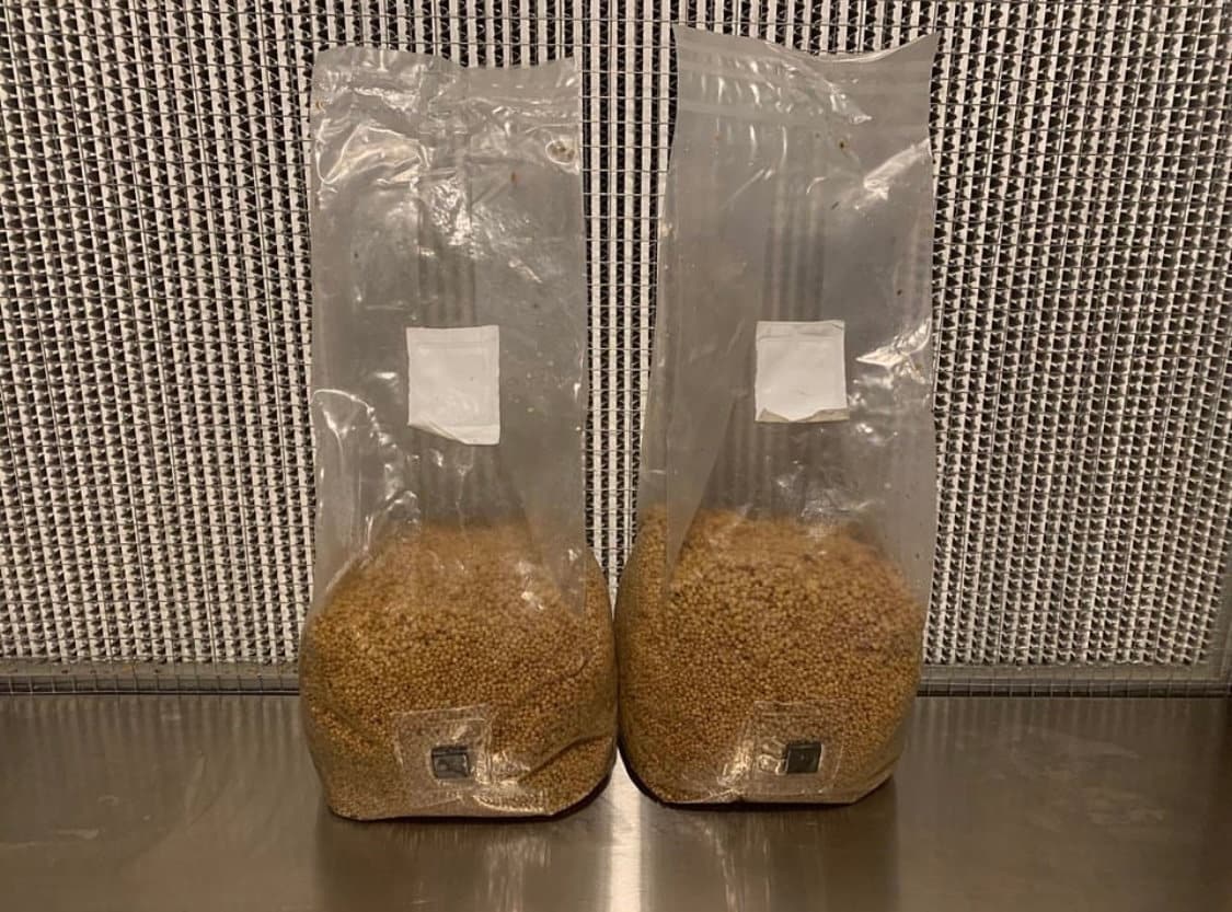 3.5lb White Millet Grain Spawn Bag Sterilized W/ 0.2 Micron Filter