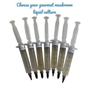Puede incluir: Siete jeringas transparentes llenas de un líquido marrón claro están dispuestas sobre un fondo blanco. Las jeringas tienen émbolos blancos y puntas negras. El texto "Choose your gourmet mushroom liquid culture" está escrito en azul en la parte superior.