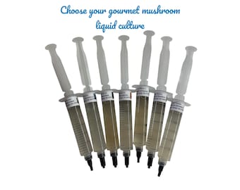 Gourmet-Pilz-Flüssigkulturspritze - Auster, Morchel, Löwenmähne und mehr