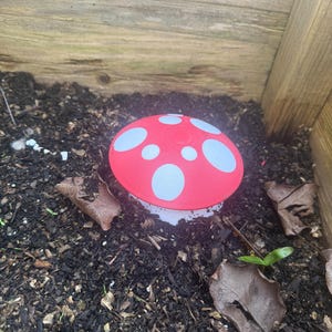 slug beer trap in the garden