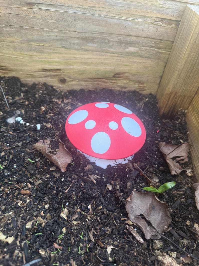 slug beer trap in the garden