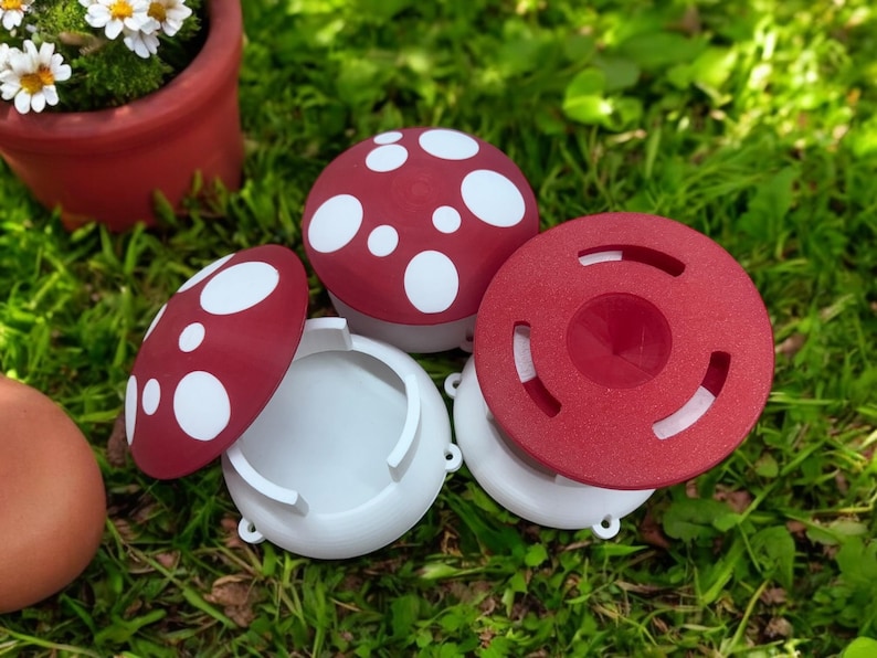 toadstool beer slug traps