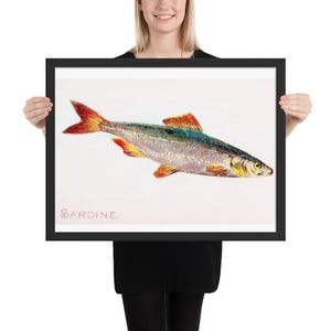 Vintage Sardine Fish Poster | Zoo Fish Series Print Reproduction | Coastal Decor & Nautical Wall Art | Seafood Artwork for Ocean Lovers