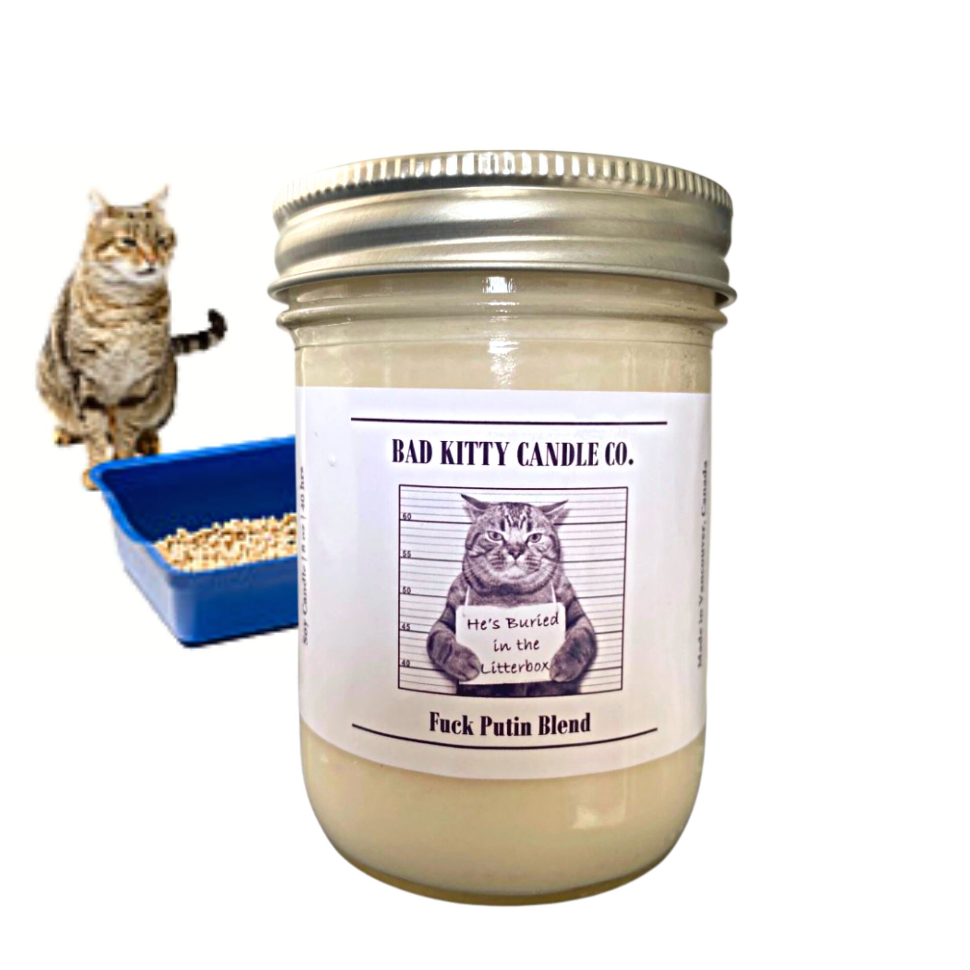 Arctic Cat Kitty Cat for sale 108 ads for used Arctic Cat Kitty Cats