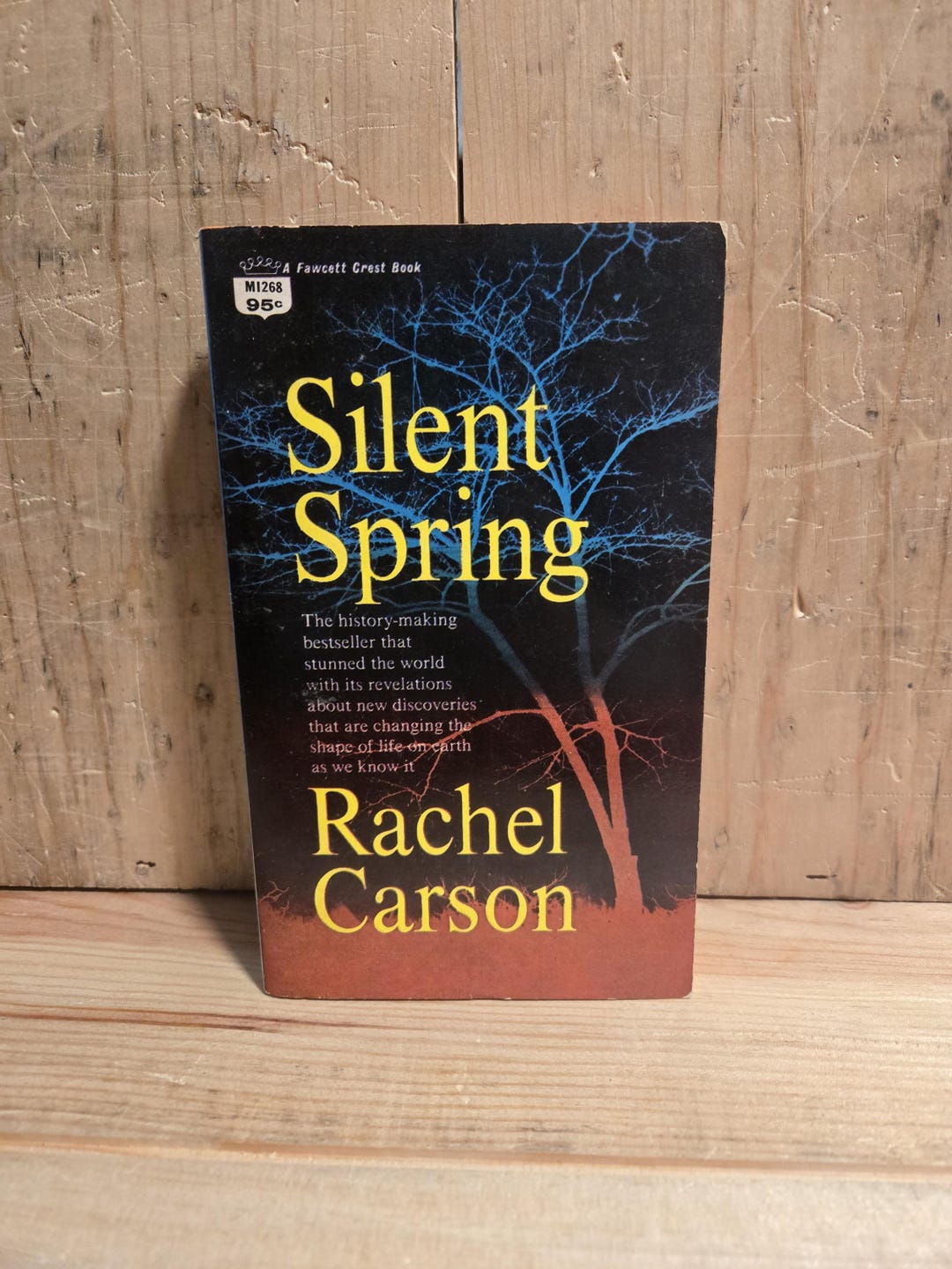 Silent Spring Silent Spring // Rachel Carson // 1962 // Vintage Paperback ...