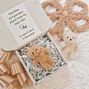 May include: A small, tan teddy bear rests in an open cardboard box filled with white paper shreds. The box contains a note that reads, "Grandma and grandpa, please keep my bear safe. I'll need it back in November." A larger, tan, flower-shaped item and a smaller teddy bear are also visible.