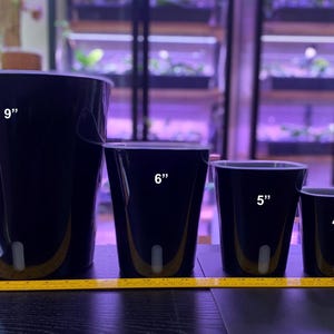 3, 4, 5, 6 Inch Self Watering Planter, BLACK with Clear - Transparent Inner Pot, Wick Included
