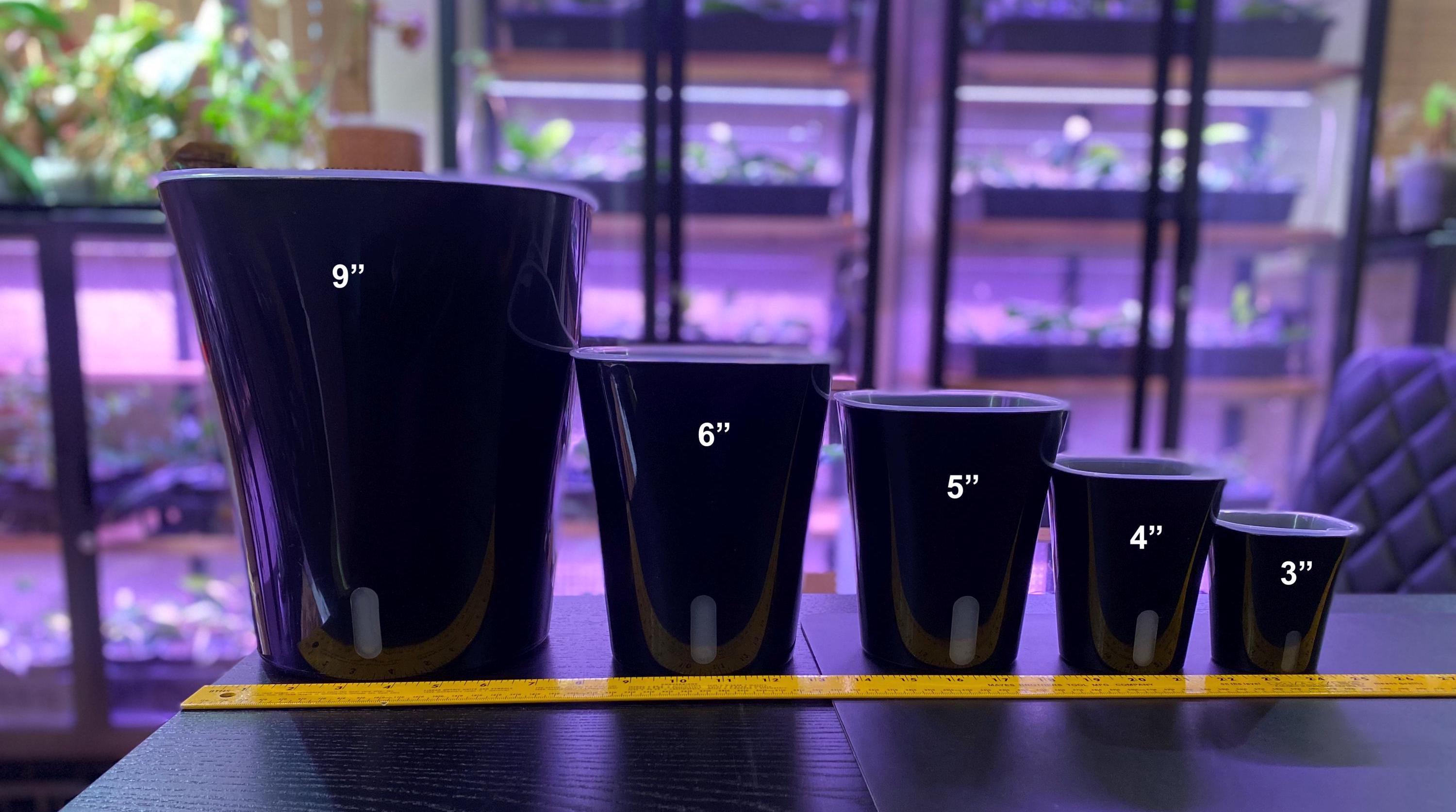 3, 4, 5, 6 Inch Self Watering Planter, BLACK with Clear - Transparent Inner Pot, Wick Included