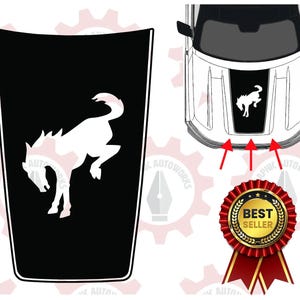 2021-2025 Ford Bronco Sport Hood Decal with Horse Cut Out