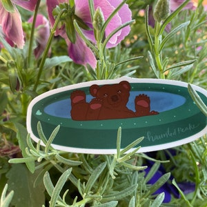 Tiempo en la piscina Oso Pardo