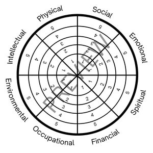 Wellness Wheel School Counseling Activity