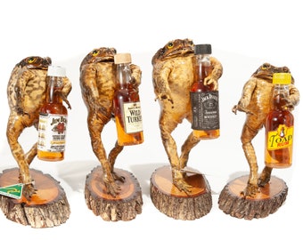 Véritable crapaud de canne de taxidermie (liquide sans alcool)