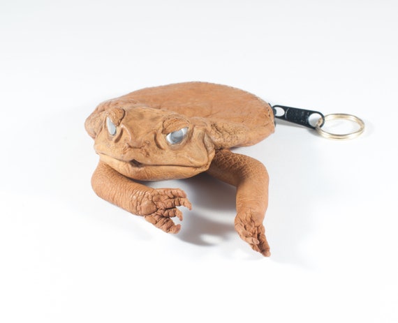 2022 New Sugar Cane Toad Full-Body Purse, Coin Pouch Made from Taxidermy Cane  Toad, Boys and Girls Animal Crossbody Bag Travel Purse Phone Purse Small  Wallet : Amazon.ca: Clothing, Shoes & Accessories
