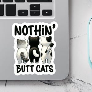 Sticker drôle de chat, cadeau mignon pour amoureux des chats, mégots de chat, mème drôle de chat, Sticker ordinateur portable et bouteille d'eau