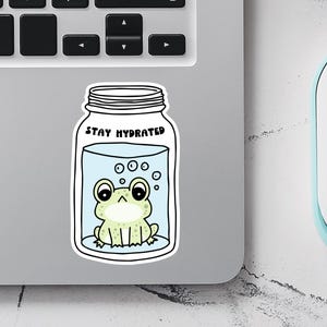 Sticker Rester hydraté, Sticker bouteille d'eau, Rappel d'eau, Sticker grenouille mignonne, Sticker vinyle mignon pour ordinateur portable ou journal