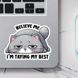 Sticker chat gris triste, Sticker santé mentale drôle, Je fais de mon mieux, Motivation pertinente, Meme chat émotionnel, Sticker ordinateur portable et bouteille d'eau