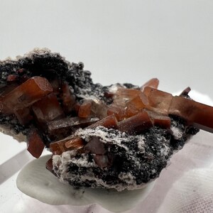 Puede incluir: Primer plano de un esp&eacute;cimen mineral con cristales de aragonito de color marr&oacute;n rojizo. Los cristales alargados y transl&uacute;cidos se asientan sobre una matriz oscura, casi negra, con parches blancos. La muestra se presenta sobre un fondo blanco.