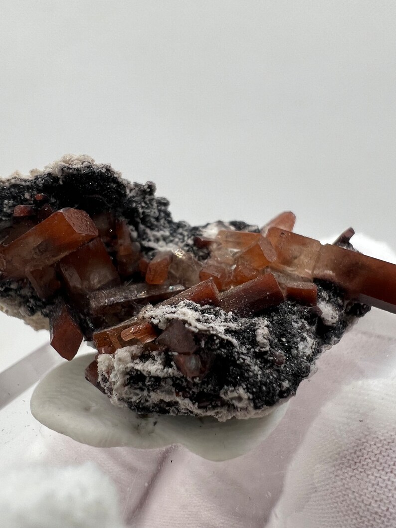 Puede incluir: Primer plano de un esp&eacute;cimen mineral con cristales de aragonito de color marr&oacute;n rojizo. Los cristales alargados y transl&uacute;cidos se asientan sobre una matriz oscura, casi negra, con parches blancos. La muestra se presenta sobre un fondo blanco.