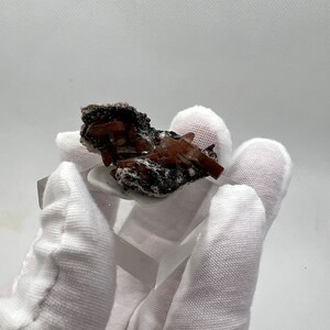 Puede incluir: Un grupo de cristales minerales de color marr&oacute;n rojizo sobre una matriz oscura. Los cristales tienen una apariencia afilada y angular. El esp&eacute;cimen mineral se exhibe sobre un soporte transparente y rectangular, sobre un fondo blanco. El mineral es sostenido por una mano enguantada.