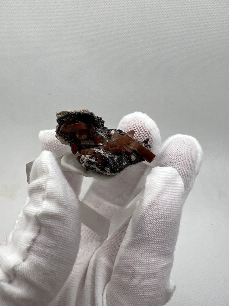 Puede incluir: Un grupo de cristales minerales de color marr&oacute;n rojizo sobre una matriz oscura. Los cristales tienen una apariencia afilada y angular. El esp&eacute;cimen mineral se exhibe sobre un soporte transparente y rectangular, sobre un fondo blanco. El mineral es sostenido por una mano enguantada.