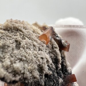 Puede incluir: Primer plano de un esp&eacute;cimen mineral con peque&ntilde;os cristales transl&uacute;cidos de color marr&oacute;n anaranjado. Los cristales se encuentran sobre un fondo de roca rugosa, granular, gris claro y negra. La textura general es &aacute;spera y detallada.