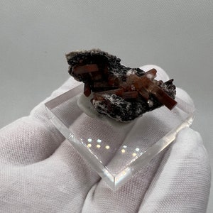 Puede incluir: Un esp&eacute;cimen mineral con grupos de cristales de color marr&oacute;n rojizo sobre una matriz oscura. Los cristales est&aacute;n dispuestos en un patr&oacute;n radial. El esp&eacute;cimen se exhibe sobre una base cuadrada de acr&iacute;lico transparente.