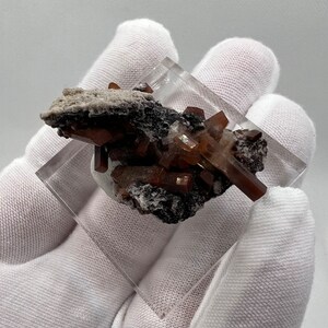 Puede incluir: Un esp&eacute;cimen mineral con cristales de color marr&oacute;n-anaranjado, posiblemente mimetita, presentado en una pantalla acr&iacute;lica transparente. Los cristales est&aacute;n dispuestos sobre una base oscura con zonas blancas y grises.