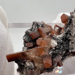 Puede incluir: Un grupo de cristales de aragonito de color marr&oacute;n rojizo sobre una matriz oscura y moteada. Los cristales transl&uacute;cidos tienen forma prism&aacute;tica. La matriz es una mezcla de minerales negros y grises, con peque&ntilde;as manchas blancas.