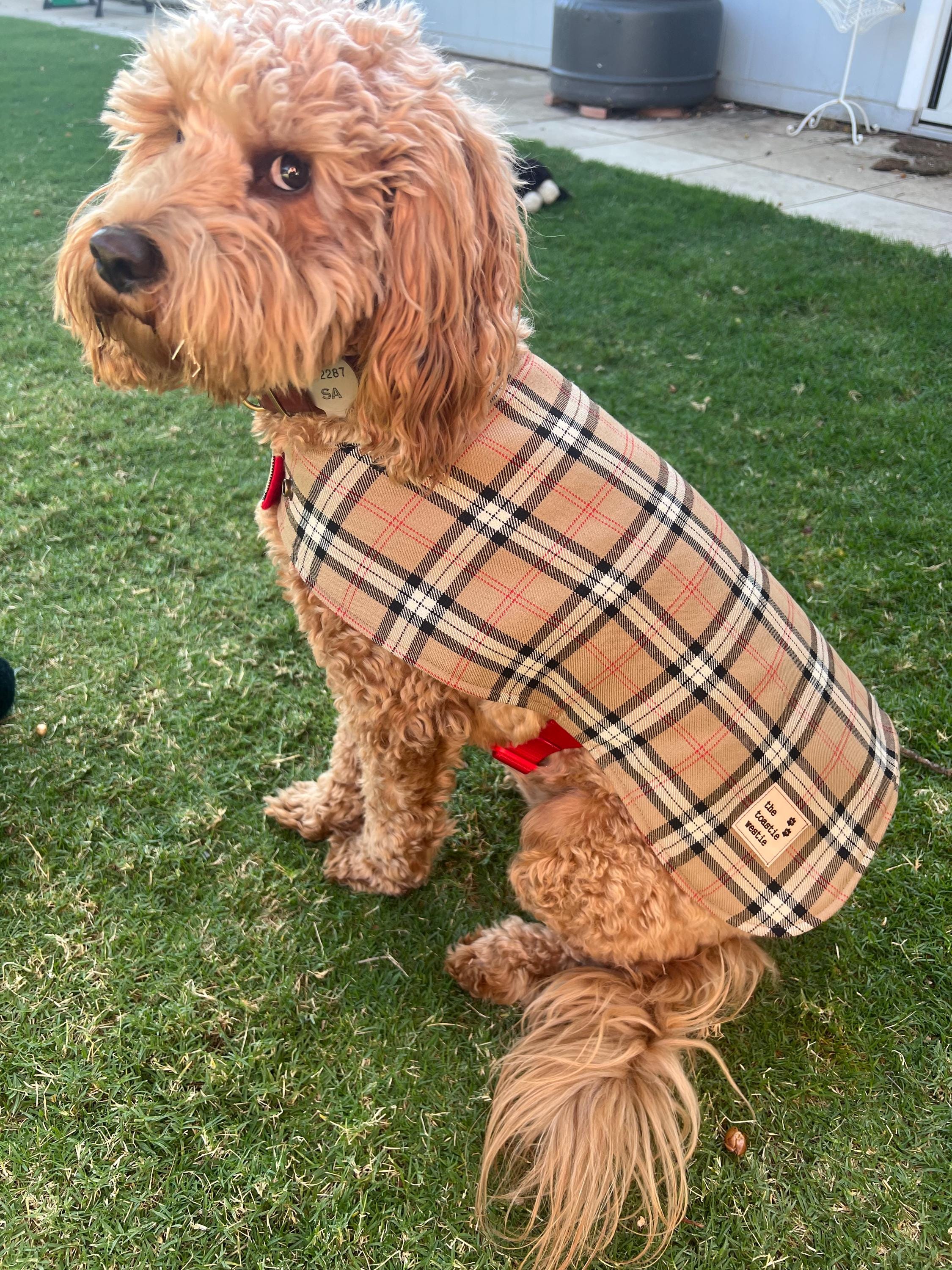 BURBERRY バーバリー Burberry ブローチ 犬モチーフ GP ゴールド