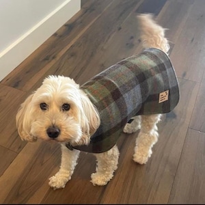 Dog Coat Jacket Hunting MacLeod, Harris Tweed, Bespoke dog wear, made in Adelaide, Australia image 1