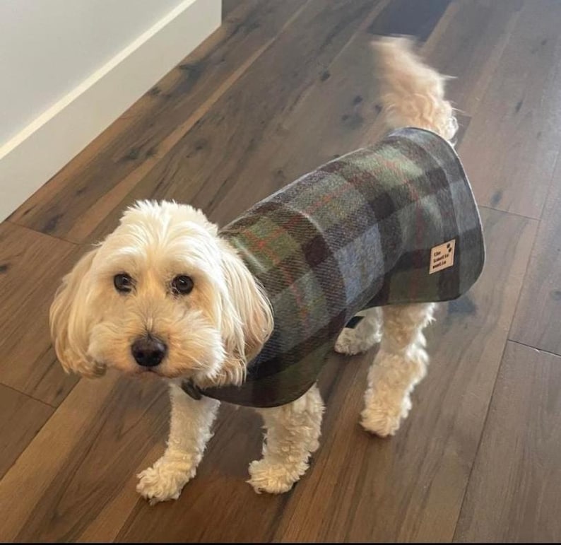 Dog Coat Jacket Hunting MacLeod, Harris Tweed, Bespoke dog wear, made in Adelaide, Australia image 1