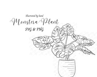 Monstera Plant SVG and PNG Files - Hand-Drawn, Clean, Scalable Artwork for Crafts & Commercial Use - Houseplant Illustration
