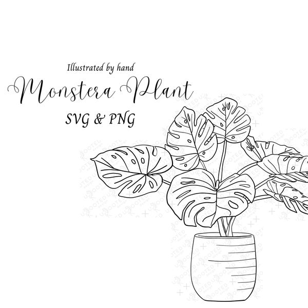 Monstera Plant SVG and PNG Files - Hand-Drawn, Clean, Scalable Artwork for Crafts & Commercial Use - Houseplant Illustration