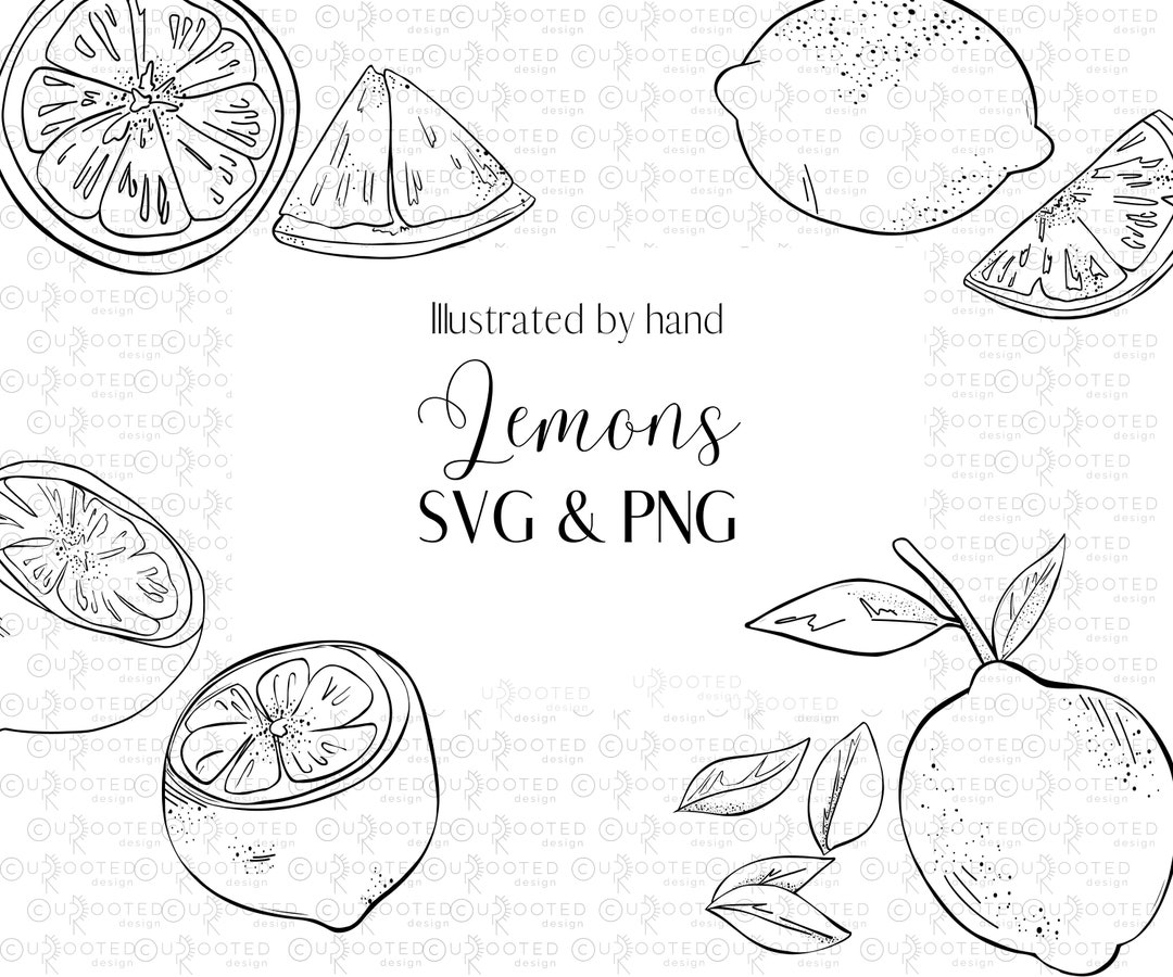 Black and White Lemon Clipart Line Art SVG, Lemon PNG Clip Art, Hand Drawn Illustration, Citrus