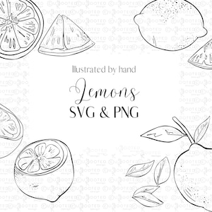 Black and White Lemon Clipart Line Art SVG, Lemon PNG Clip Art, Hand Drawn Illustration, Citrus Line Art, Lemons Drawing, Kitchen Clipart