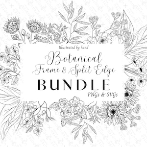 Botanical SVG + PNG BUNDLE | line art Botanical Frame & Split Frame | Floral Frame Clipart | Floral Clipart | hand drawn clipart