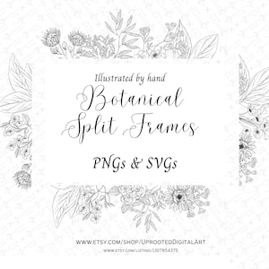 Botanical line art Hand Drawn Split Frames PNGs & SVGs | Botanical SVG | Floral Frame Clipart | Floral Clipart | hand drawn clipart