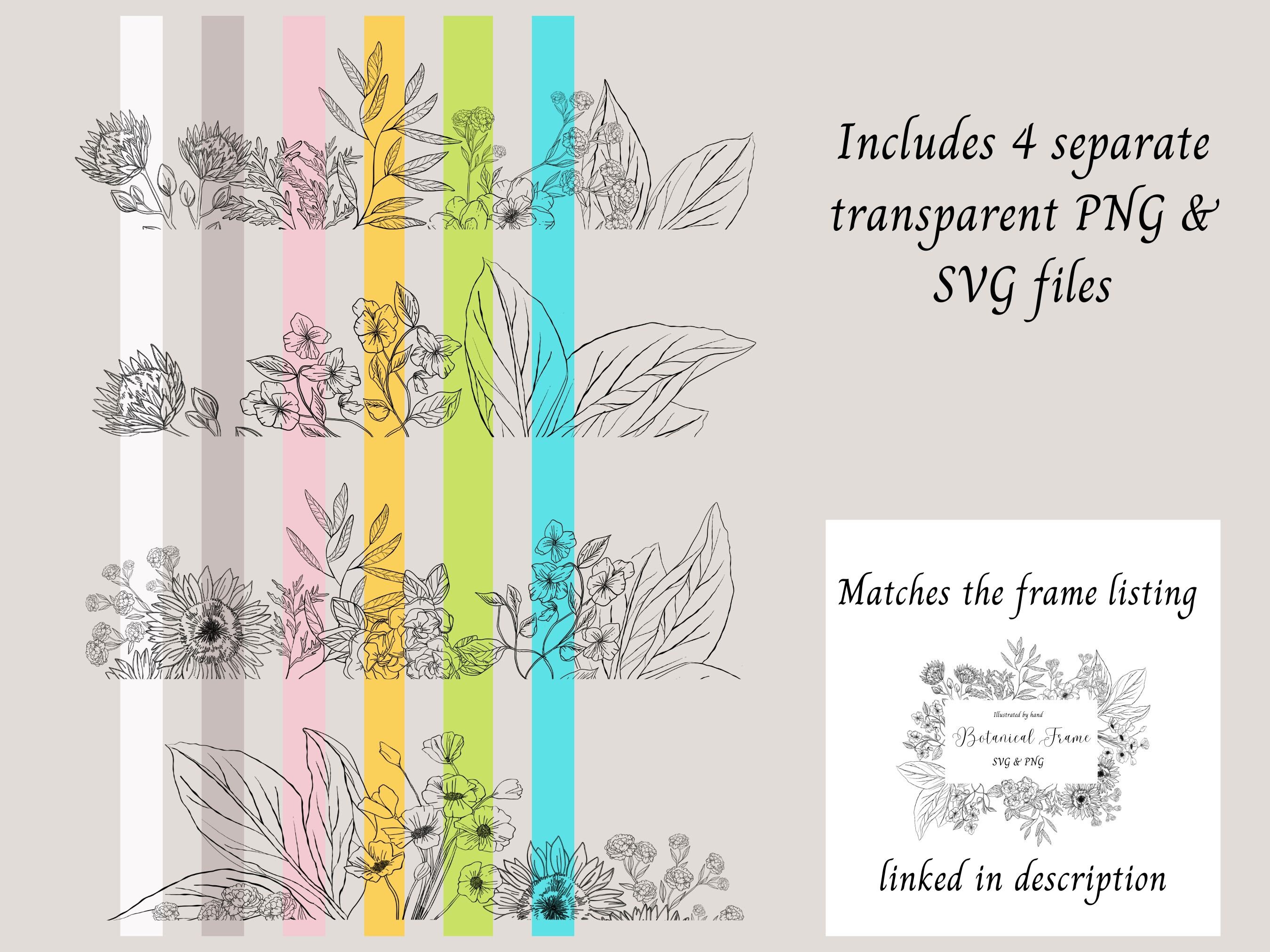 Split Frame Drawing Botanical Line Art Hand Drawn Split Frames Pngs & Svgs | Botanical SVG ...