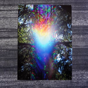 LOVE n SUN, Carte postale Natural Glitch Art