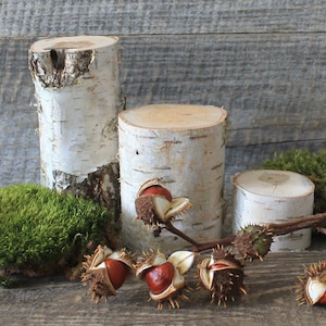 Birch Wood Stump Set: Rustic Home Decor, DIY Project Supplies (Set of 3)