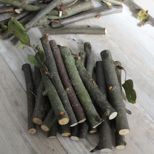 Organic Apple Wood Chew Sticks: Small Pet Treats, 50 pcs