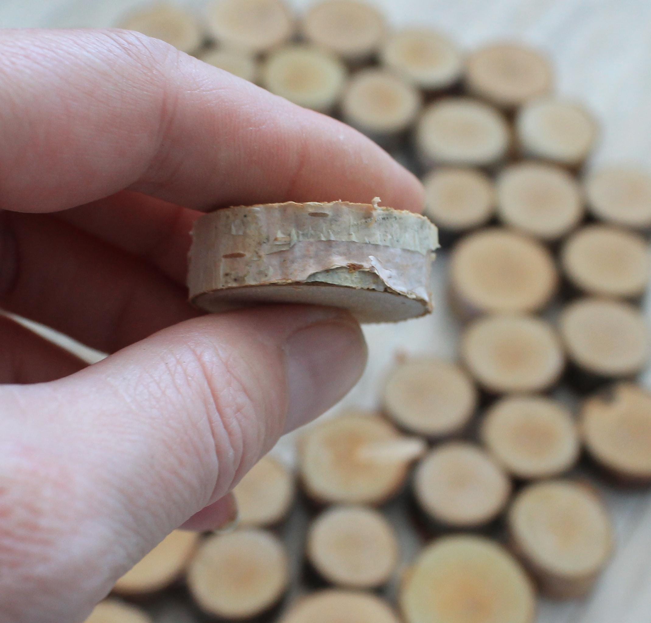 Birch Slices Small Wood Rounds Craft Wood Pieces Tree Rounds for DIY ...