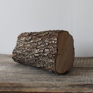 Holz stumpen Holzstamm Natürlicher Bastelbedarf Rustikaler Tischschmuck Do it yourself Baumstamm Basteln